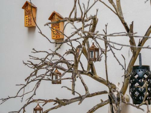 Apartamento Helen - The Spartan Home