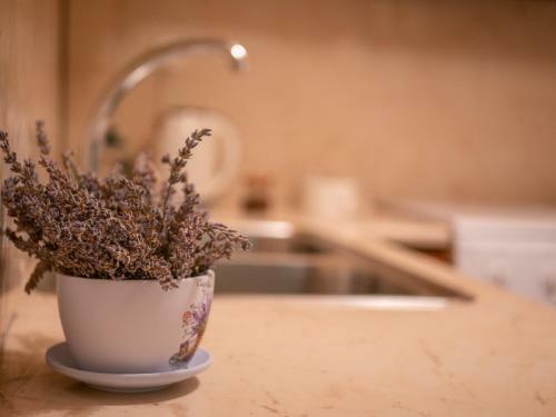 Apartamento Helen - The Spartan Home