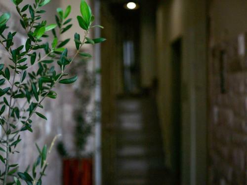 Apartamento Lycurgus - The Spartan Home