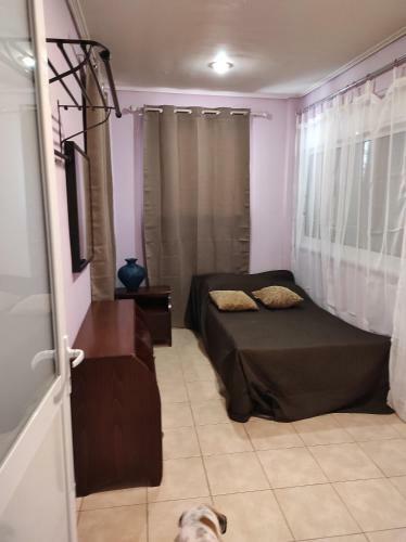 Katerina's Apartment 1