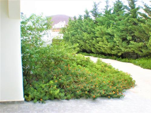 Apartamento Astypalea Villas