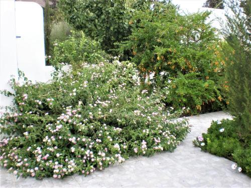 Apartamento Astypalea Villas