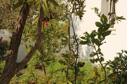 Apartamento Astypalea Villas