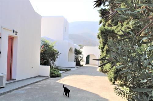 Apartamento Astypalea Villas