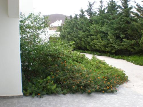 Apartamento Astypalea Villas
