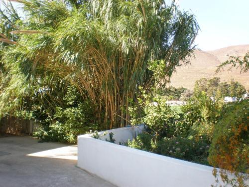 Apartamento Astypalea Villas
