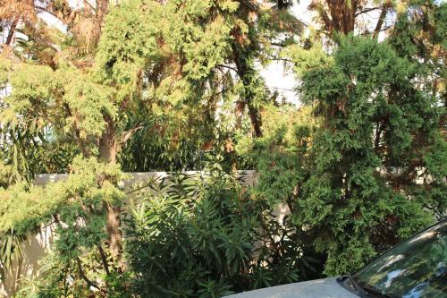 Apartamento Astypalea Villas