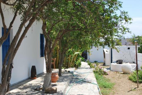 Apartamento Anixi