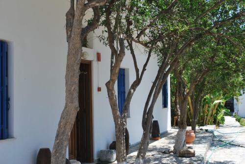 Apartamento Anixi