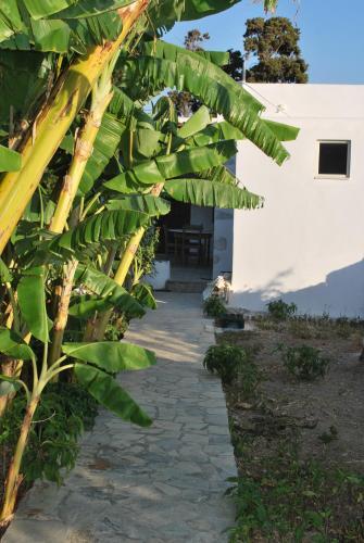 Apartamento Anixi