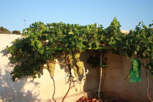 B&B Casa Solare Rakalia