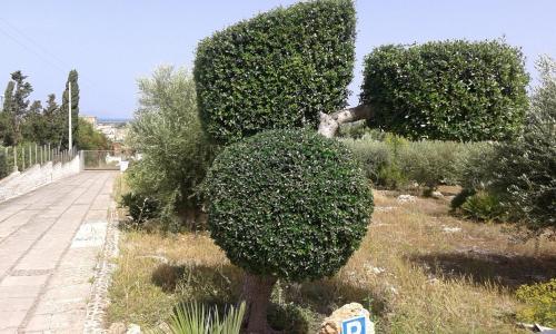 B&B Casa Solare Rakalia