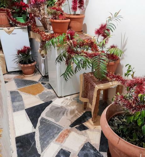 Apartamento Angel's House
