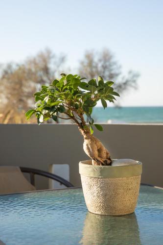 El Mar Apartments