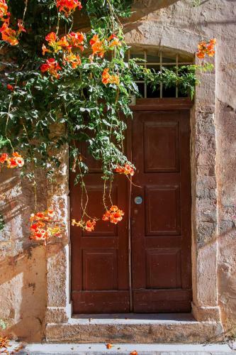 Orestis Downtown Home