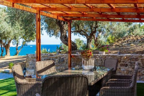 Olive Grove Apartment