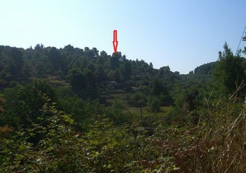 Cottage In Wildnes Of Island Nature