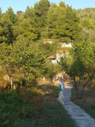Cottage In Wildnes Of Island Nature