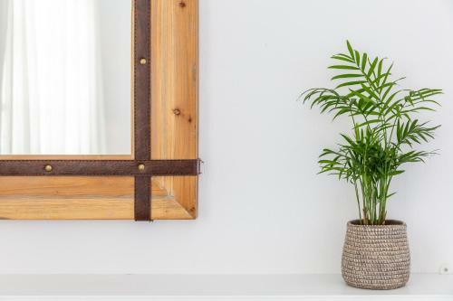 Apartamento Liviana House