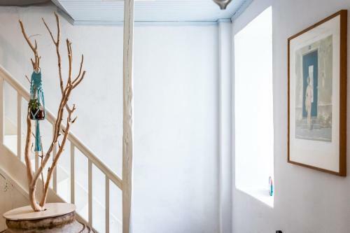 Delphine's House