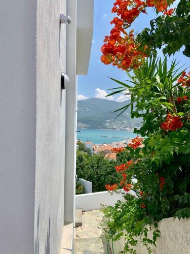 Apartamento Kalimera Homes