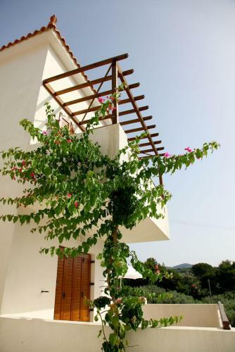 Apartamento Skopelos Summer Homes