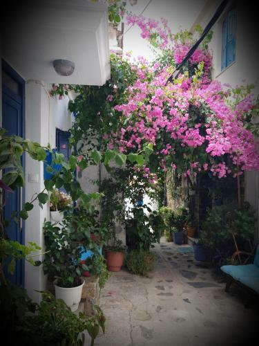 Kastro House