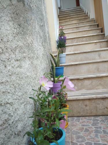 Apartamento Villa Vasili