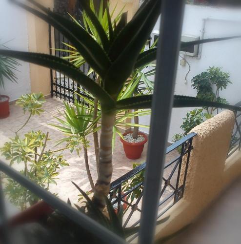 Hostal ?no Studios Skiathos