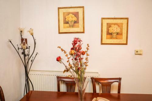 Apartamento Antonia House