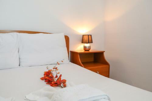 Apartamento Antonia House