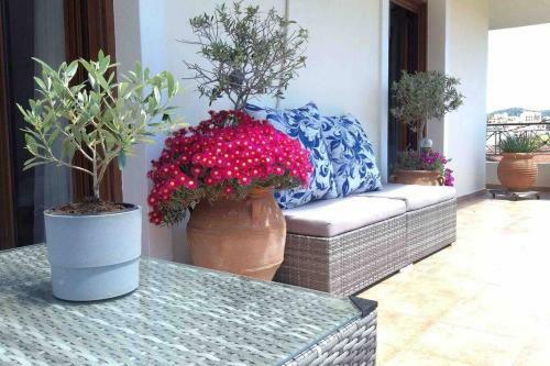 Skiathos Town House