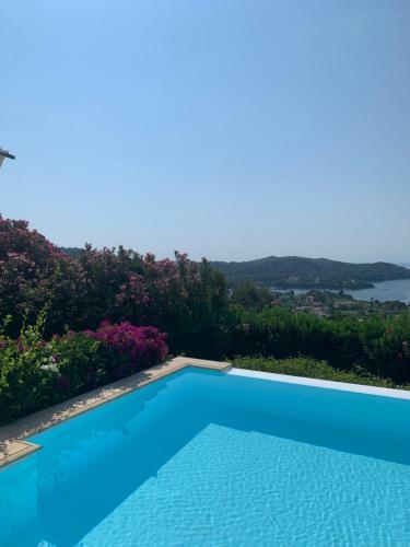 Luxury Villa With Infinity Pool
