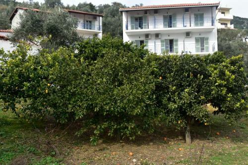 Apartamento Skiathos Country Studios,travel10gr