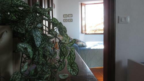 Apartamento Da Bareu