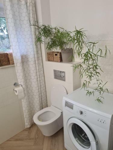 Apartamento Pod ?wierkami