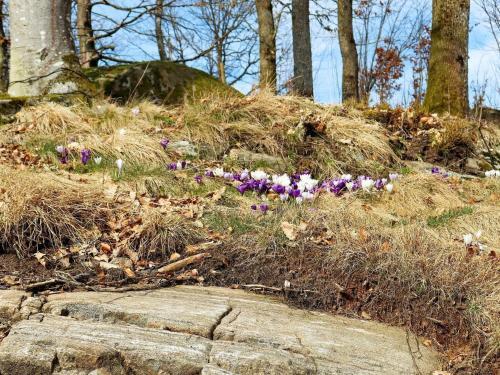 Holiday Home Ullared IV