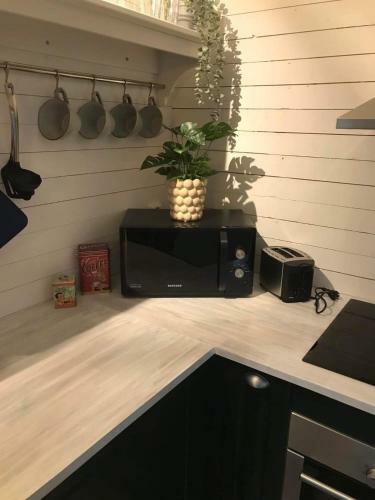 Apartamento Pinebo Palace B&B