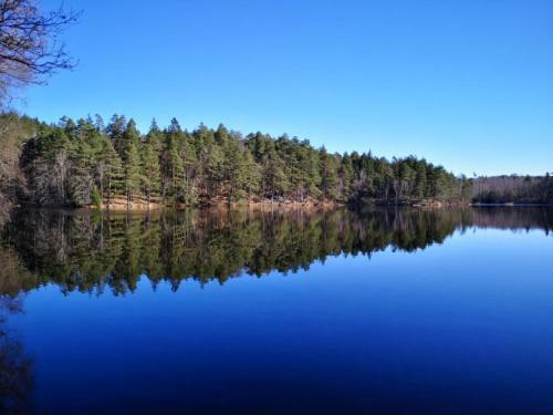 Hagavik 8