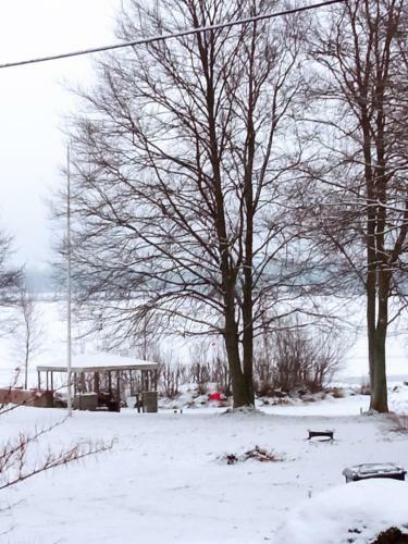 Hagavik 8
