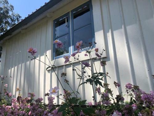 Seaside Cottage Haga Park