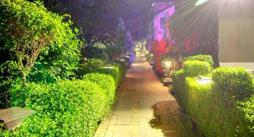 Hotel Luxury Jim Corbett Resort