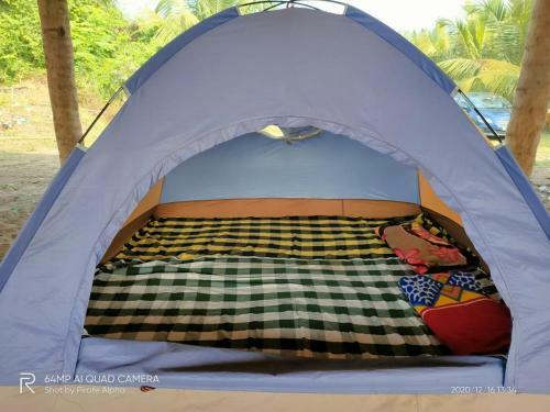 Beach Camping Alibag-revdanda