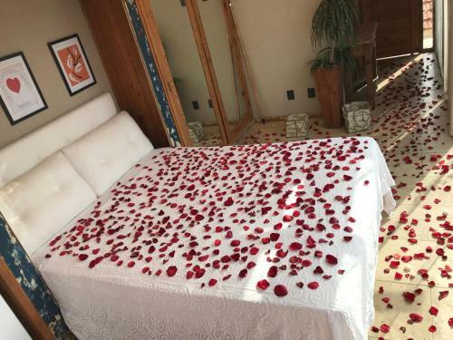 Bed & Breakfast Mansion Aline