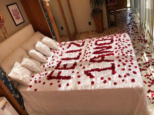 Bed & Breakfast Mansion Aline