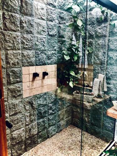 Bed & Breakfast Mansion Aline