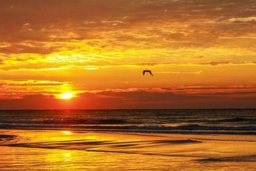 Lacaribe By Pensacola Beach Properties