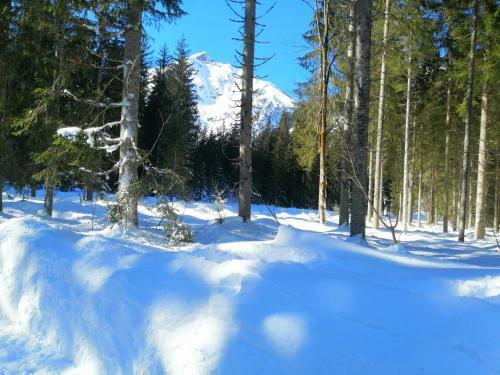 Apartamento Appartement Mountain Lake