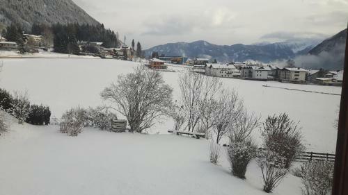 Apartamento Ferienwohnungen Regina Unger