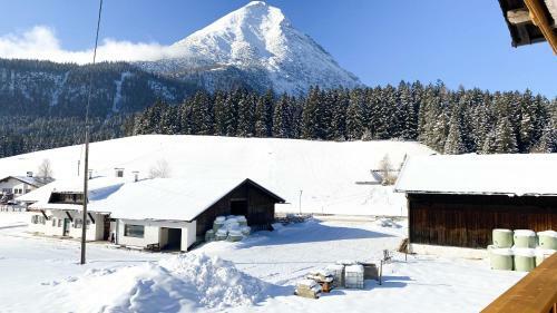 Apartamento Appartements Wolf